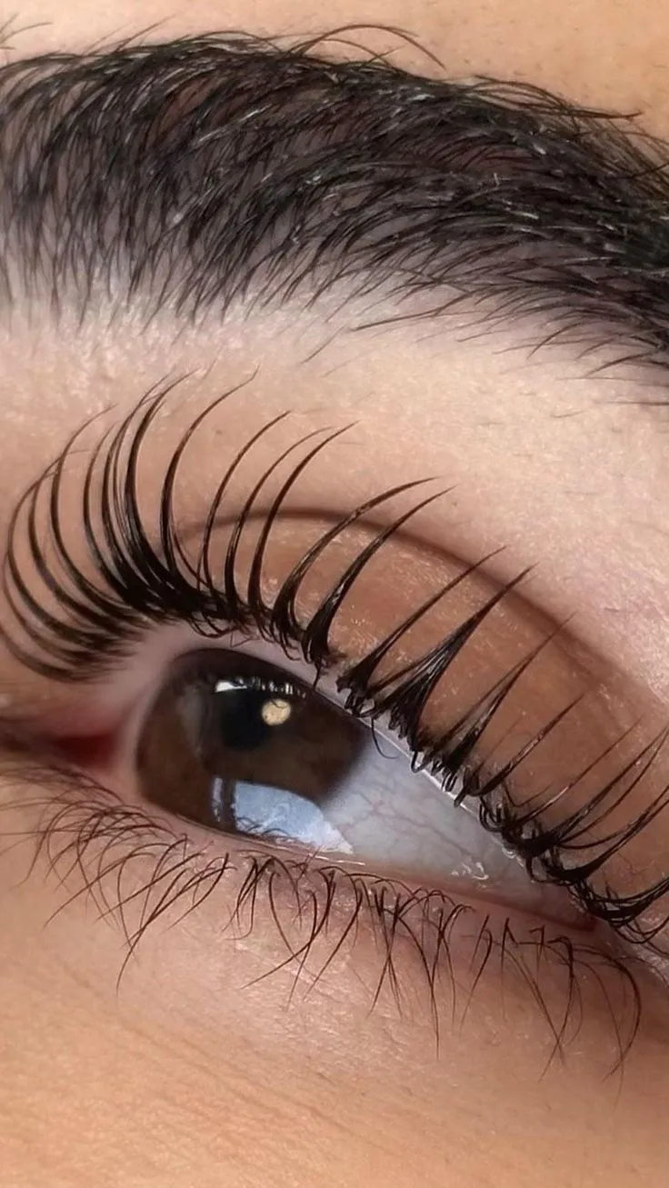 Lashes Curls